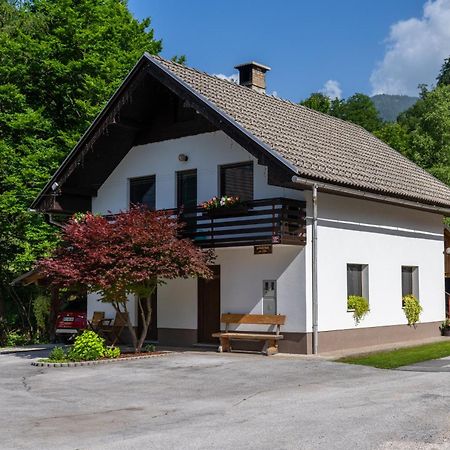 Apartma Pri Lipi Bohinj Exteriér fotografie
