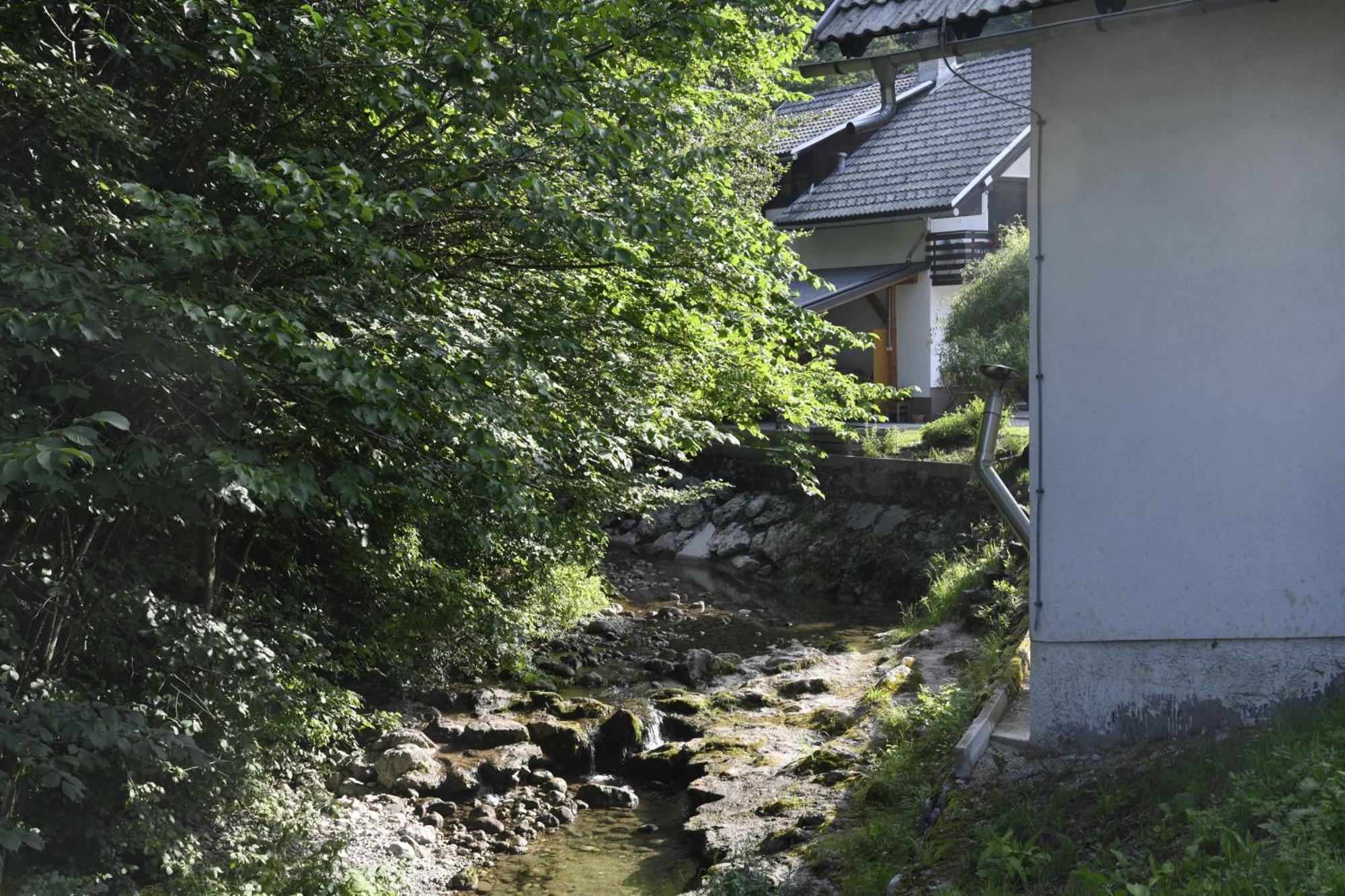 Apartma Pri Lipi Bohinj Exteriér fotografie