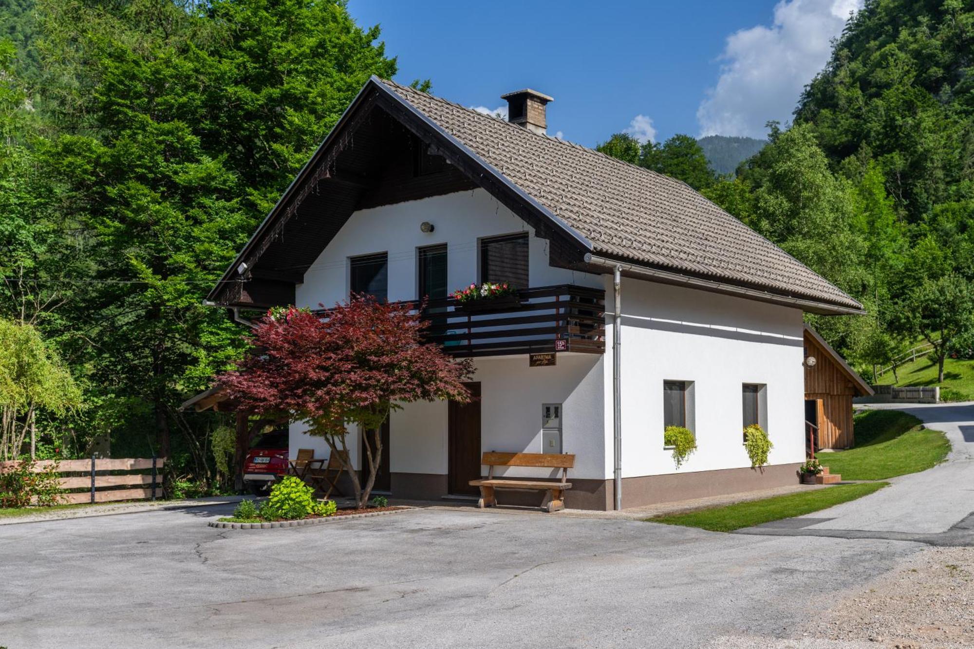 Apartma Pri Lipi Bohinj Exteriér fotografie