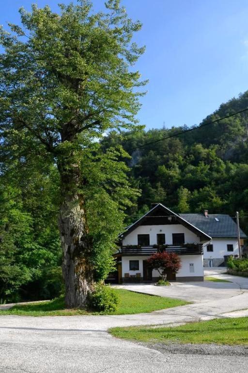 Apartma Pri Lipi Bohinj Exteriér fotografie